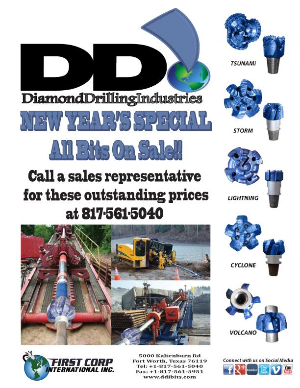 DDI Holiday Special Flyer - Seasonal marketing materials maintaining brand consistency